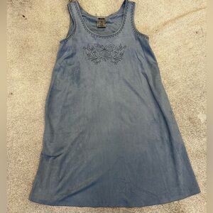 Blue Embroidered Velvet Dress